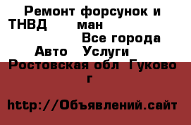 Ремонт форсунок и ТНВД Man (ман) TGA, TGL, TGS, TGM, TGX - Все города Авто » Услуги   . Ростовская обл.,Гуково г.